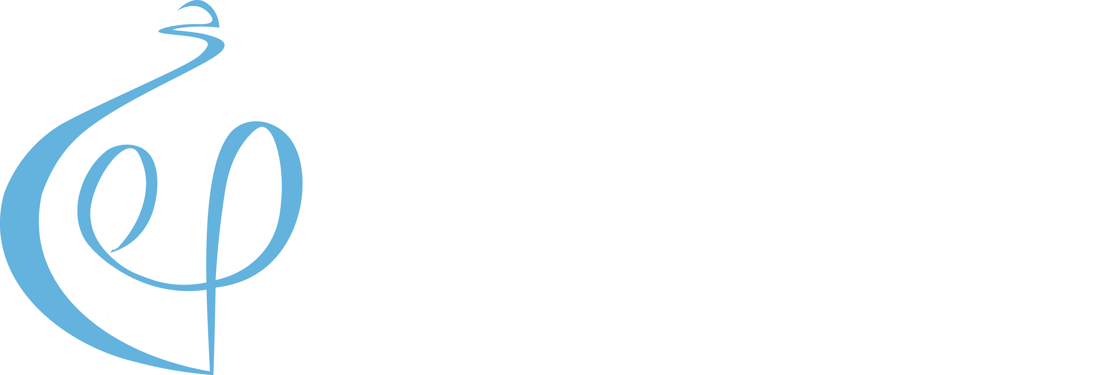 Florida Arts and Culture